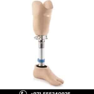 Below Knee Prosthesis (Below Knee Amputation)